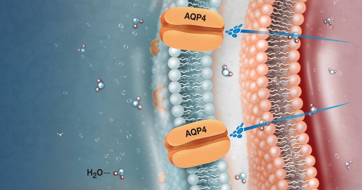 Aquaporin Illustration
